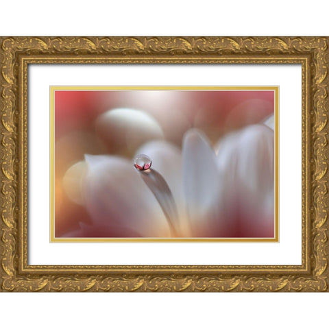 Enigma.. Gold Ornate Wood Framed Art Print with Double Matting by Nan, Juliana