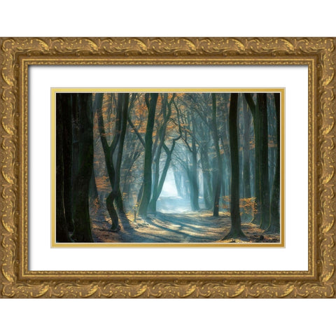 Cold Light Gold Ornate Wood Framed Art Print with Double Matting by Borggreve, Ellen