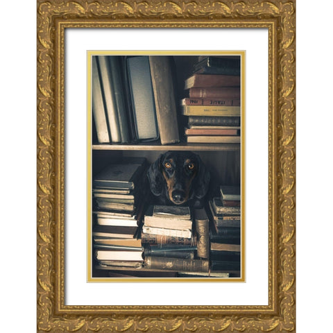 Der Kleine Bibliothekar - Little Librarian Gold Ornate Wood Framed Art Print with Double Matting by Willers, Heike