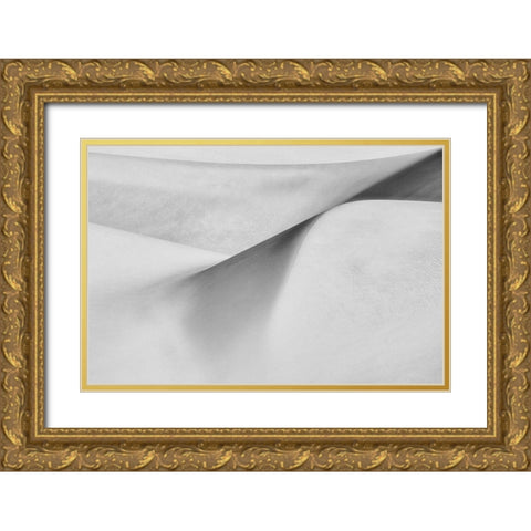 Curves Of Desert Ii Gold Ornate Wood Framed Art Print with Double Matting by Mehrafshar Efiap, Babak