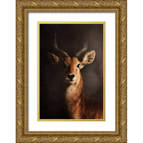 Untitled Gold Ornate Wood Framed Art Print with Double Matting by Grambone, Antonio