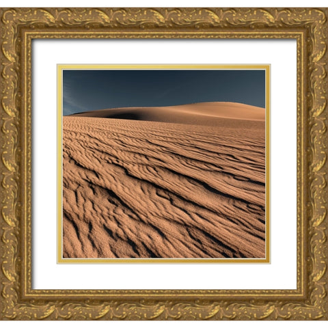 Rivulets Of Sand Gold Ornate Wood Framed Art Print with Double Matting by Darby, Rob