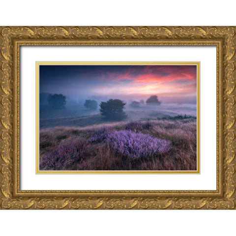 Qthe Colors Of Heatherq Gold Ornate Wood Framed Art Print with Double Matting by Pachula, Adam