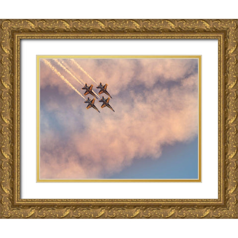 Us Navy Gold Ornate Wood Framed Art Print with Double Matting by Tseng, Judy