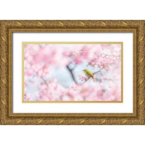 Cherry-Blossom Color Gold Ornate Wood Framed Art Print with Double Matting by Suzuki, Takashi