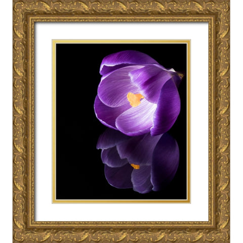 Crocus Flower With Reflections Gold Ornate Wood Framed Art Print with Double Matting by Gade, Jens
