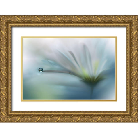 Fields Of Hope.. Gold Ornate Wood Framed Art Print with Double Matting by Nan, Juliana