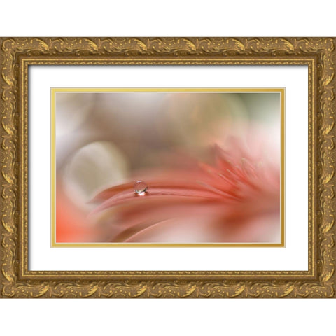 Light Touch.. Gold Ornate Wood Framed Art Print with Double Matting by Nan, Juliana