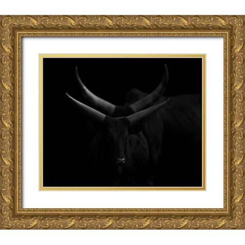 Real Lines Dreaming With Curves Gold Ornate Wood Framed Art Print with Double Matting by Nunez Buj, Rodrigo