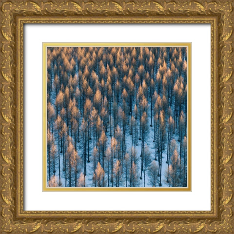 Fire Gold Ornate Wood Framed Art Print with Double Matting by Z, Bingo