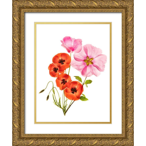 Flower Composition Iii Gold Ornate Wood Framed Art Print with Double Matting by Yakubovitch, Azriel