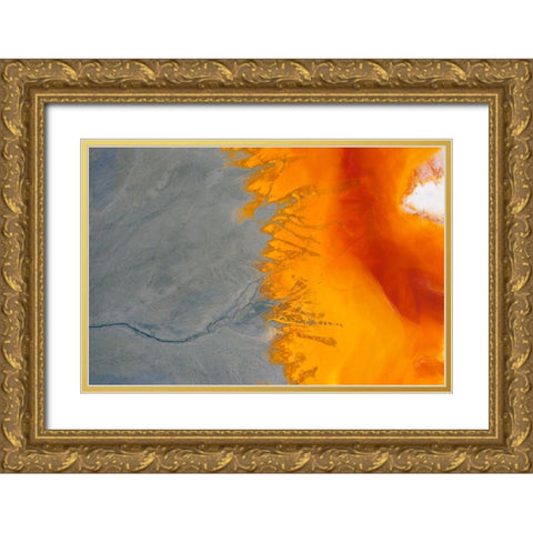 Toxicolors Gold Ornate Wood Framed Art Print with Double Matting by Beata, Angyalosi