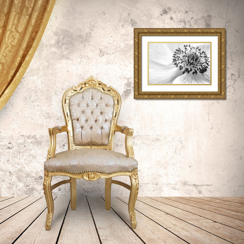 Anemone Gold Ornate Wood Framed Art Print with Double Matting by Disher, Mandy