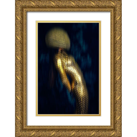 Anti-Gravity Gold Ornate Wood Framed Art Print with Double Matting by Bolgov, Ruslan