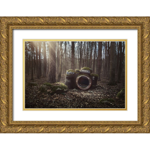 Lost Gold Ornate Wood Framed Art Print with Double Matting by Cakovsky, Peter