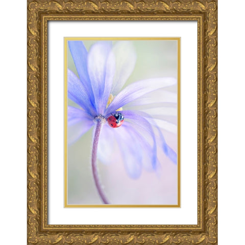 Spring Lady Gold Ornate Wood Framed Art Print with Double Matting by Parker, Jacky