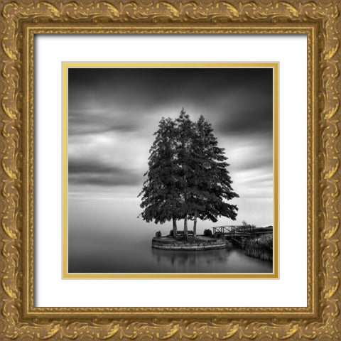 Sweden Landscape Gold Ornate Wood Framed Art Print with Double Matting by Digalakis, George