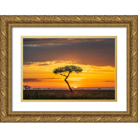 Sunrise Gold Ornate Wood Framed Art Print with Double Matting by C. Sink, Jeffrey