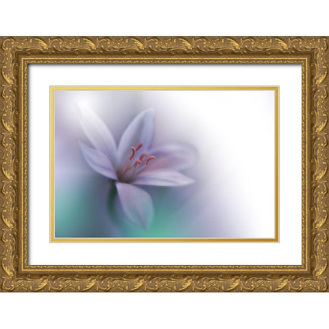 Beyond.. Gold Ornate Wood Framed Art Print with Double Matting by Nan, Juliana