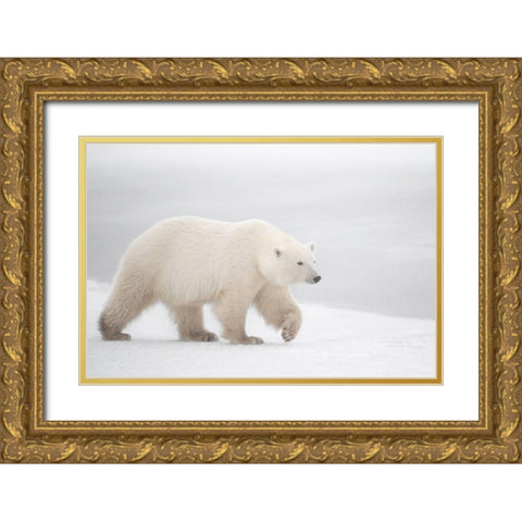 White Gold Ornate Wood Framed Art Print with Double Matting by Pozzi, Marco
