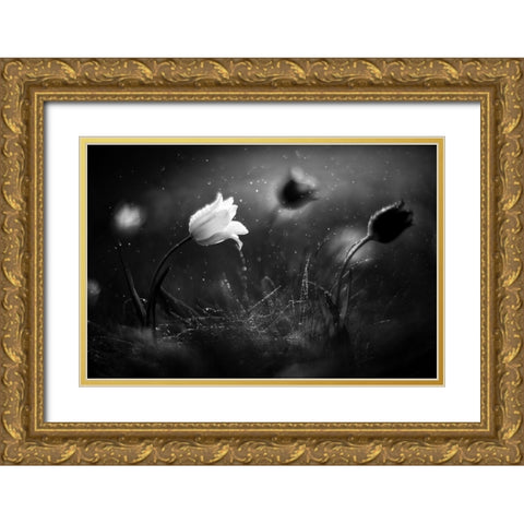 Steppe Flower Gold Ornate Wood Framed Art Print with Double Matting by Fedotov, Vadim