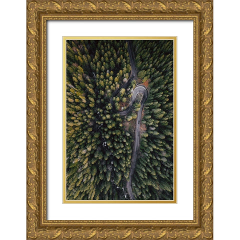 Forest Vibes Gold Ornate Wood Framed Art Print with Double Matting by Beata, Angyalosi