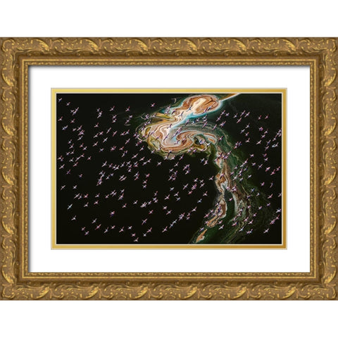 Hundreds Of Flamingos Gold Ornate Wood Framed Art Print with Double Matting by J. Chen, John