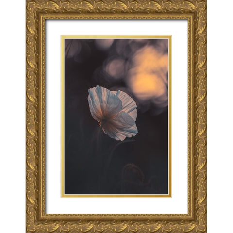 Last Ray Gold Ornate Wood Framed Art Print with Double Matting by BRAVIN, Fabien