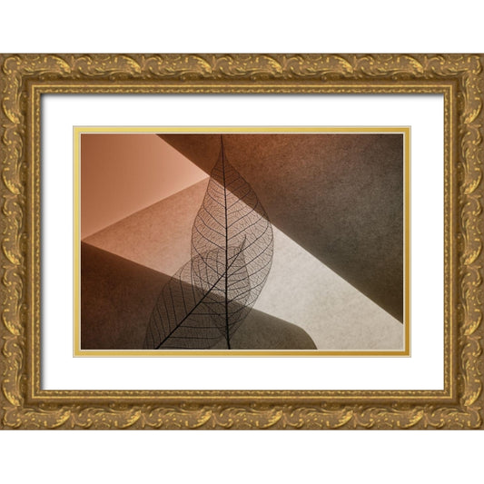 Perspective Image