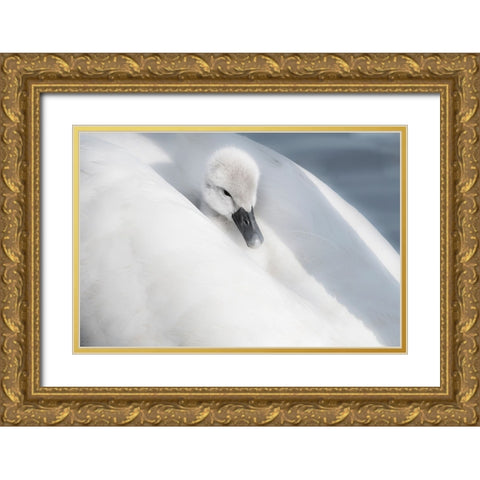 A Dress That Is Too Big Gold Ornate Wood Framed Art Print with Double Matting by H., Aijing