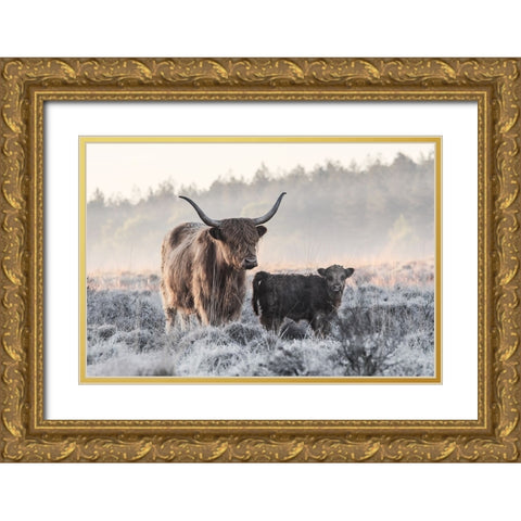 Highlander And Calf Gold Ornate Wood Framed Art Print with Double Matting by van den, Jaap