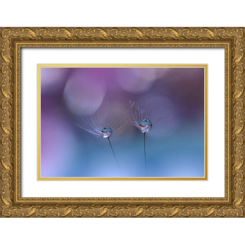 ~O~O~ Gold Ornate Wood Framed Art Print with Double Matting by Nan, Juliana