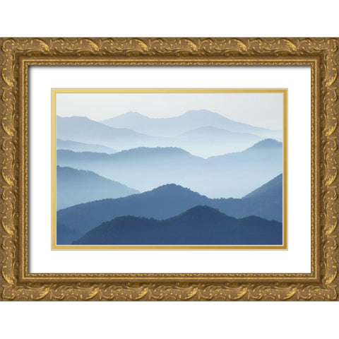 Blue Waves Gold Ornate Wood Framed Art Print with Double Matting by Pphgallery