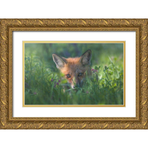 Red Fox Gold Ornate Wood Framed Art Print with Double Matting by Deng, Larry