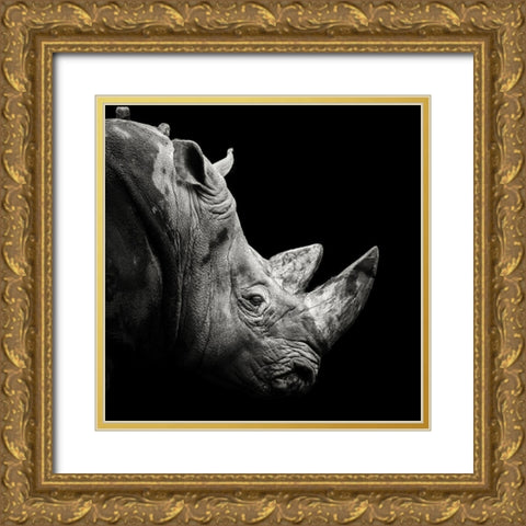 Rhino Gold Ornate Wood Framed Art Print with Double Matting by Meermann, Christian