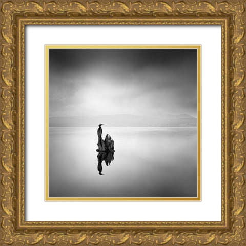 Cormorant 02 Gold Ornate Wood Framed Art Print with Double Matting by Digalakis, George