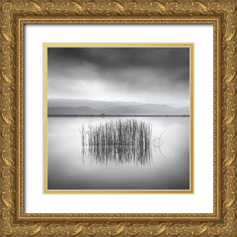 Ballad For A Blue Sky Gold Ornate Wood Framed Art Print with Double Matting by Digalakis, George