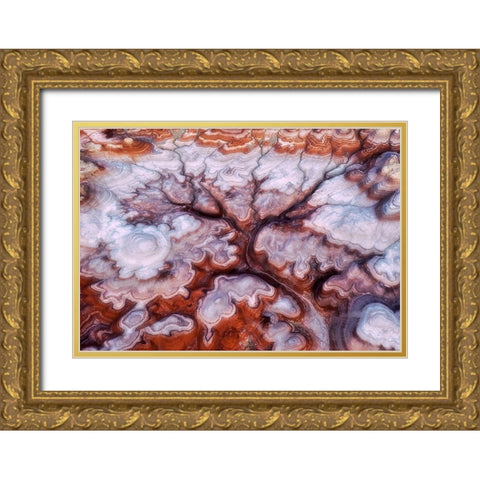 A Tree In The Desert Gold Ornate Wood Framed Art Print with Double Matting by Xu, Mei