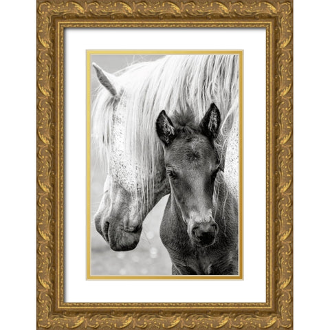 The Foal Gold Ornate Wood Framed Art Print with Double Matting by Parker, Jacky