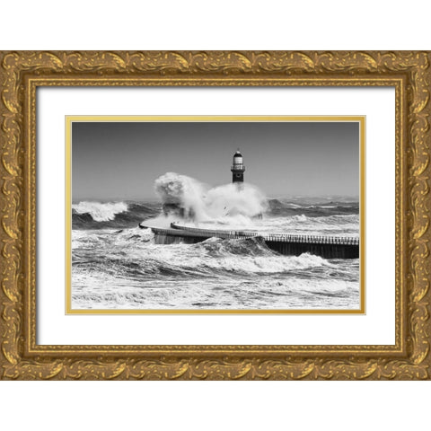 Power Of The Sea Gold Ornate Wood Framed Art Print with Double Matting by Springgay, Daniel