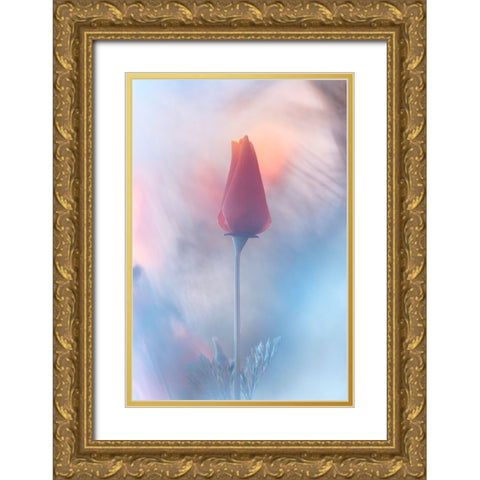 Douceur A Voluptac Gold Ornate Wood Framed Art Print with Double Matting by BRAVIN, Fabien