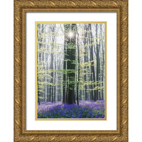 Sun Between Trees Gold Ornate Wood Framed Art Print with Double Matting by Muqa, Burim