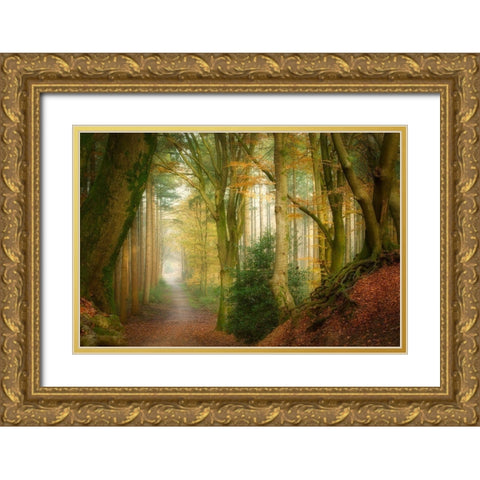 Following Fog Gold Ornate Wood Framed Art Print with Double Matting by Borggreve, Ellen