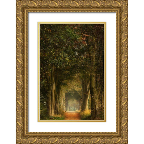 Daydreamer Gold Ornate Wood Framed Art Print with Double Matting by Borggreve, Ellen