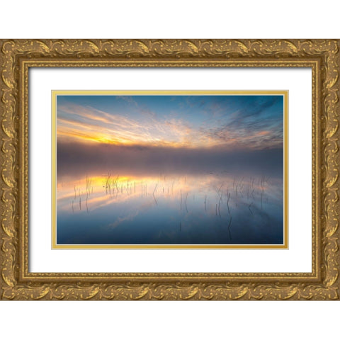 Reeds Gold Ornate Wood Framed Art Print with Double Matting by Keller