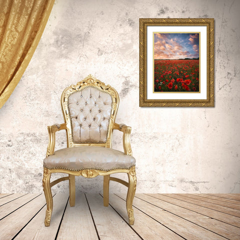 Poppy Field In Sweden Gold Ornate Wood Framed Art Print with Double Matting by Lindsten, Christian