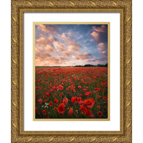 Poppy Field In Sweden Gold Ornate Wood Framed Art Print with Double Matting by Lindsten, Christian