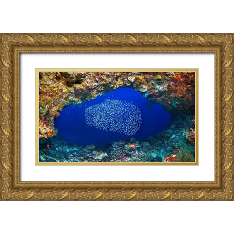 Underwater Cave Gold Ornate Wood Framed Art Print with Double Matting by Gabriel, Barathieu