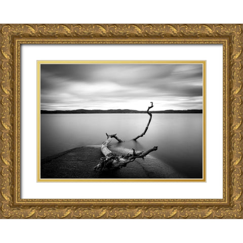 Branch Long Exposure Lake Gold Ornate Wood Framed Art Print with Double Matting by Lindsten, Christian