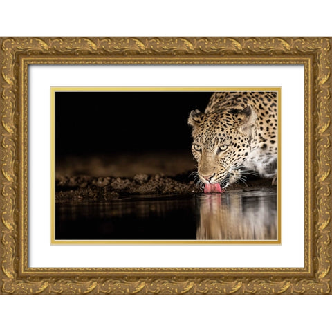 Eye Of The Tiger Gold Ornate Wood Framed Art Print with Double Matting by Eichelberg, Amnon